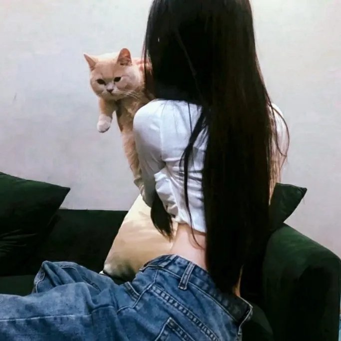 囧妈的极地任务